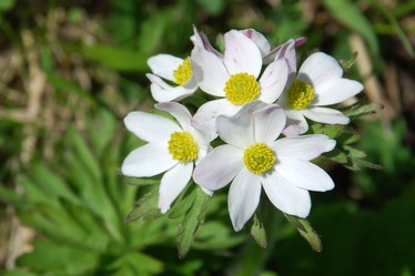 Similar image 138322