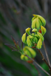 Similar image 138325