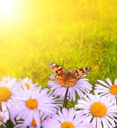 Similar image 138337