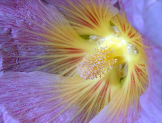 Similar image 138368