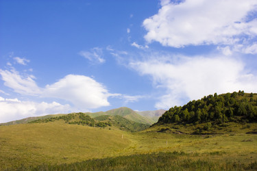 Similar image 138372