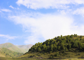 Similar image 138373