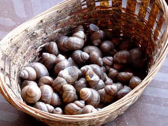 Similar image 138381