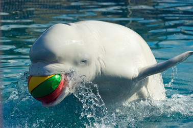 Similar image 138412