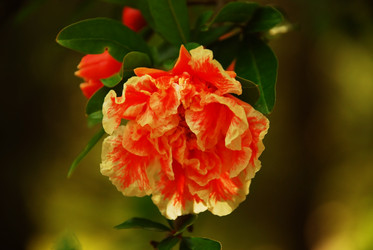 Similar image 138417