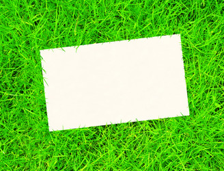 Similar image 138419