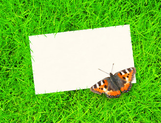 Similar image 138420