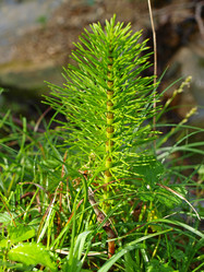 Similar image 138432