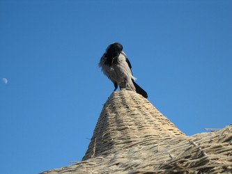 Similar image 138438