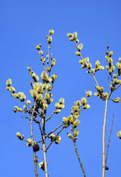 Similar image 138446