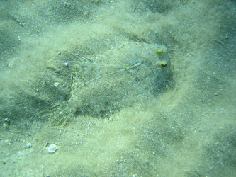 Similar image 138448