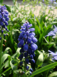 Similar image 138453