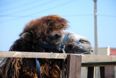 Similar image 138471