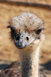 Similar image 138472