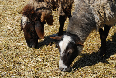 Similar image 138491