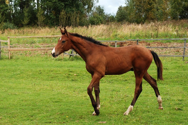 Similar image 138492