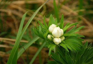 Similar image 138506