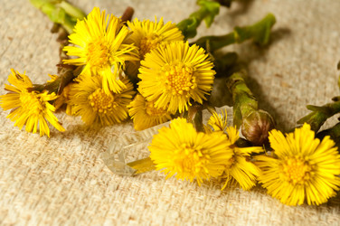 Similar image 138518