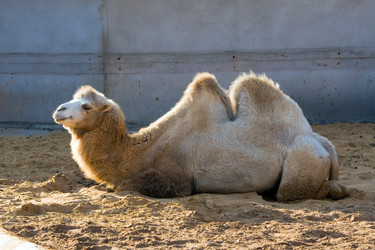 Similar image 138532