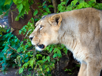 Similar image 138533