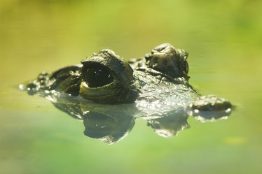 Similar image 138540