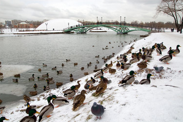 Similar image 138555