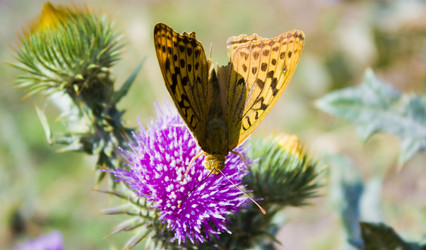 Similar image 138572