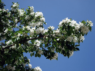 Similar image 138582