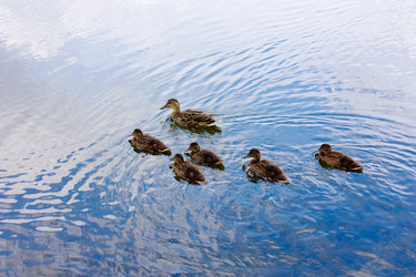 Similar image 138583