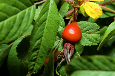 Similar image 138588