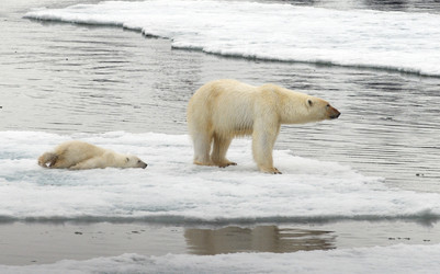 Similar image 138600