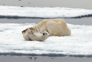 Similar image 138601