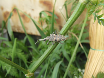 Similar image 138607