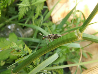 Similar image 138608