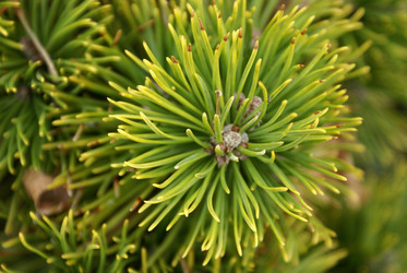 Similar image 138613