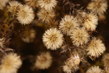 Similar image 138614