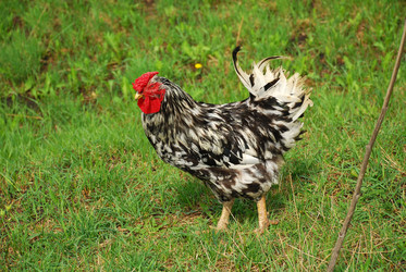 Similar image 138620