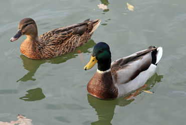 Similar image 138625