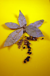 Similar image 138636