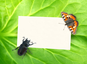 Similar image 138642