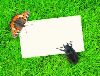 Similar image 138643