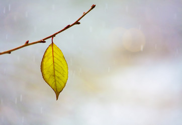 Similar image 138645