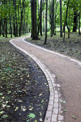 Similar image 138655