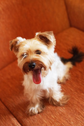 Similar image 138674