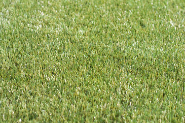 Similar image 138700