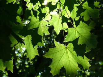 Similar image 138713