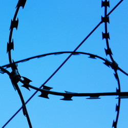 Similar image 138725