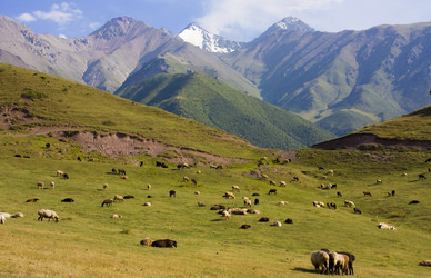 Similar image 138727