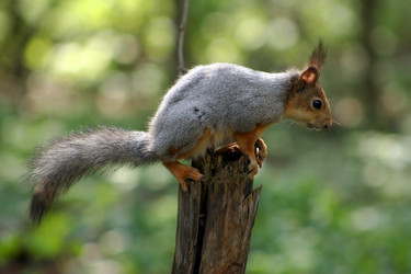 Similar image 138729