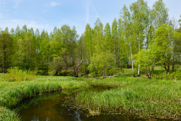 Similar image 138745